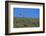 Llama Standing on Hillside-Nosnibor137-Framed Photographic Print