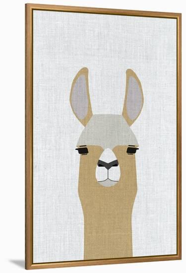 Llama-Annie Bailey Art-Framed Stretched Canvas