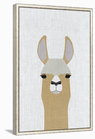 Llama-Annie Bailey Art-Framed Stretched Canvas