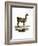 Llama-null-Framed Giclee Print