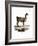 Llama-null-Framed Giclee Print