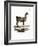 Llama-null-Framed Giclee Print