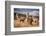 Llamas (Alpaca) in Andes Mountains, Peru, South America-Pavel Svoboda Photography-Framed Photographic Print