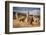 Llamas (Alpaca) in Andes Mountains, Peru, South America-Pavel Svoboda Photography-Framed Photographic Print