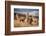 Llamas (Alpaca) in Andes Mountains, Peru, South America-Pavel Svoboda Photography-Framed Photographic Print