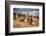 Llamas (Alpaca) in Andes Mountains, Peru, South America-Pavel Svoboda Photography-Framed Photographic Print