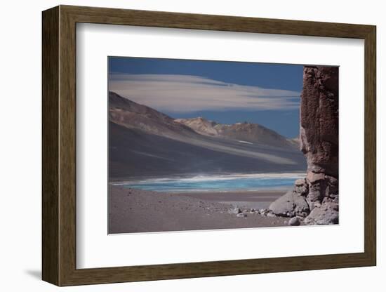 Llamas Grazing by the Tara Salt Lake, Atacama Desert, Bolivian Border-Mallorie Ostrowitz-Framed Photographic Print