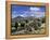 Llamas Grazing in Sajama National Park with the Twins, the Volcanoes of Parinacota and Pomerata in-Mark Chivers-Framed Premier Image Canvas