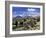 Llamas Grazing in Sajama National Park with the Twins, the Volcanoes of Parinacota and Pomerata in-Mark Chivers-Framed Photographic Print