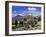 Llamas Grazing in Sajama National Park with the Twins, the Volcanoes of Parinacota and Pomerata in-Mark Chivers-Framed Photographic Print