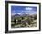 Llamas Grazing in Sajama National Park with the Twins, the Volcanoes of Parinacota and Pomerata in-Mark Chivers-Framed Photographic Print