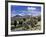 Llamas Grazing in Sajama National Park with the Twins, the Volcanoes of Parinacota and Pomerata in-Mark Chivers-Framed Photographic Print