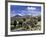 Llamas Grazing in Sajama National Park with the Twins, the Volcanoes of Parinacota and Pomerata in-Mark Chivers-Framed Photographic Print