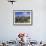 Llamas Grazing in Sajama National Park with the Twins, the Volcanoes of Parinacota and Pomerata in-Mark Chivers-Framed Photographic Print displayed on a wall