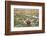 Llamas in the Mountains near Paso De Jama, Argentina-Chile-xura-Framed Photographic Print