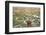 Llamas in the Mountains near Paso De Jama, Argentina-Chile-xura-Framed Photographic Print