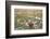 Llamas in the Mountains near Paso De Jama, Argentina-Chile-xura-Framed Photographic Print