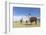 Llamas (Lama glama), feeding near Coqueza, a small town near the Thunupa Volcano, Salar de Uyuni-Michael Nolan-Framed Photographic Print