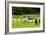 Llamas on Farm in Norway-Nik_Sorokin-Framed Photographic Print