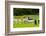 Llamas on Farm in Norway-Nik_Sorokin-Framed Photographic Print