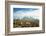 Llamas with snowcapped volcano Sajama, Sajama National Park, Bolivia-Anthony Asael-Framed Photographic Print