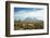 Llamas with snowcapped volcano Sajama, Sajama National Park, Bolivia-Anthony Asael-Framed Photographic Print