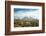 Llamas with snowcapped volcano Sajama, Sajama National Park, Bolivia-Anthony Asael-Framed Photographic Print