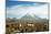 Llamas with snowcapped volcano Sajama, Sajama National Park, Bolivia-Anthony Asael-Mounted Photographic Print