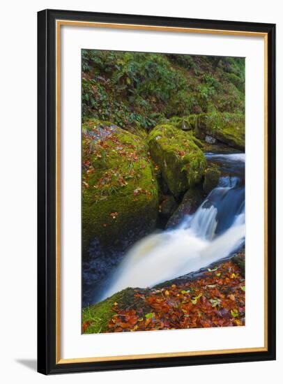 Llanrhaeadr Ym Mochnant-Alan Copson-Framed Photographic Print