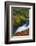 Llanrhaeadr Ym Mochnant-Alan Copson-Framed Photographic Print