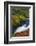 Llanrhaeadr Ym Mochnant-Alan Copson-Framed Photographic Print