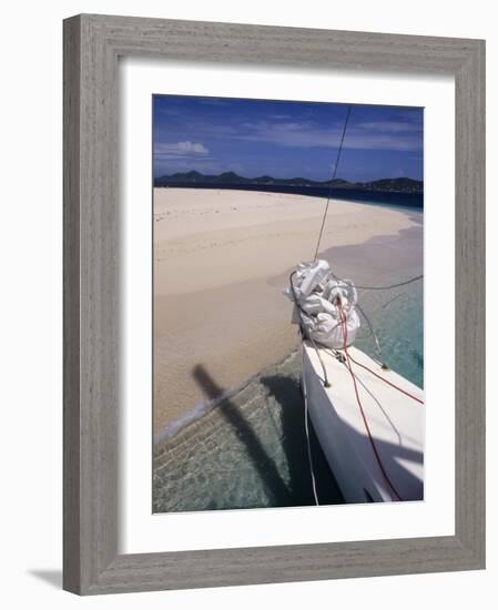 Llewelyn's Charter Trimaran, Buck Island, St. Croix, US Virgin Islands-Alison Jones-Framed Photographic Print