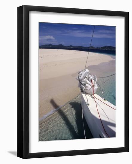 Llewelyn's Charter Trimaran, Buck Island, St. Croix, US Virgin Islands-Alison Jones-Framed Photographic Print