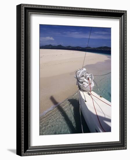 Llewelyn's Charter Trimaran, Buck Island, St. Croix, US Virgin Islands-Alison Jones-Framed Photographic Print