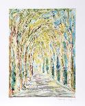 French Road-Lloyd Lozes Goff-Collectable Print