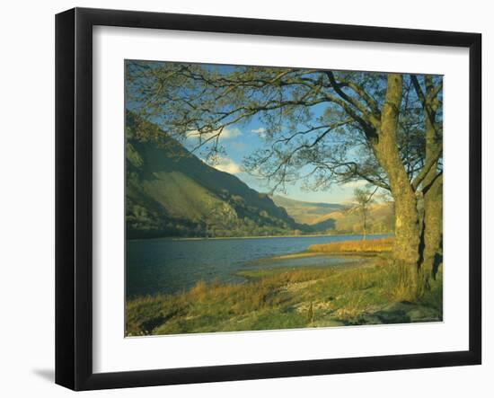 Llyn Gwynant (Lake Gwynant), Gwynedd, North Wales, UK, Europe-Lee Frost-Framed Photographic Print