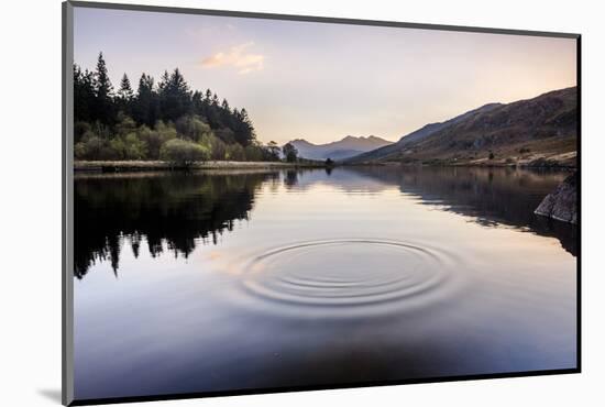 Llynnau Mymbyr Lake at sunset, Capel Curig, Snowdonia National Park, North Wales, United Kingdom-Matthew Williams-Ellis-Mounted Photographic Print