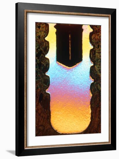 LM of a Cross-section Through a Dental Implant-Volker Steger-Framed Photographic Print