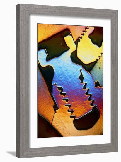 LM of a Cross-section Through a Dental Implant-Volker Steger-Framed Photographic Print