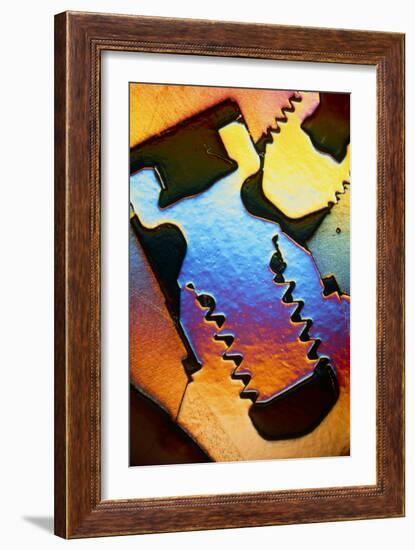 LM of a Cross-section Through a Dental Implant-Volker Steger-Framed Photographic Print