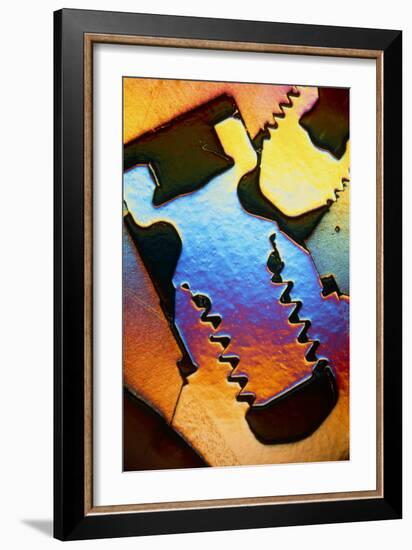 LM of a Cross-section Through a Dental Implant-Volker Steger-Framed Photographic Print