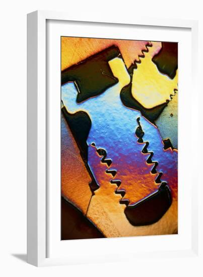 LM of a Cross-section Through a Dental Implant-Volker Steger-Framed Photographic Print