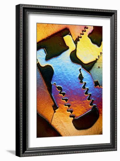 LM of a Cross-section Through a Dental Implant-Volker Steger-Framed Photographic Print