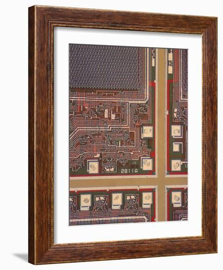 LM of a Wafer of Integrated Circuits-David Parker-Framed Photographic Print