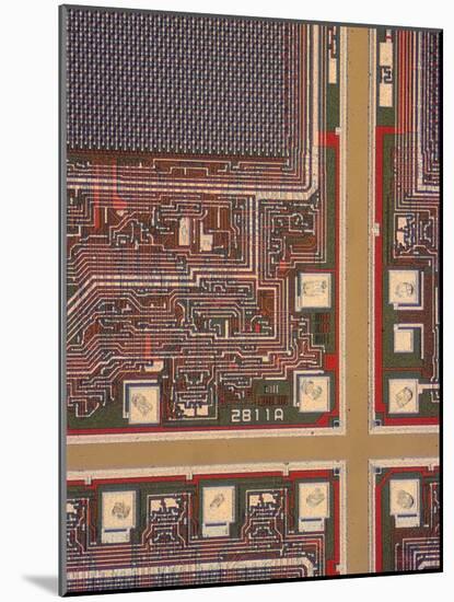 LM of a Wafer of Integrated Circuits-David Parker-Mounted Photographic Print