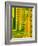 LM of Part of the Surface of a Silicon Chip-David Parker-Framed Photographic Print