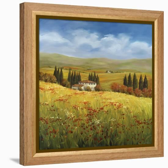 Lo Splendor De La Toscana-Tim Howe-Framed Premier Image Canvas