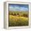 Lo Splendor De La Toscana-Tim Howe-Framed Premier Image Canvas