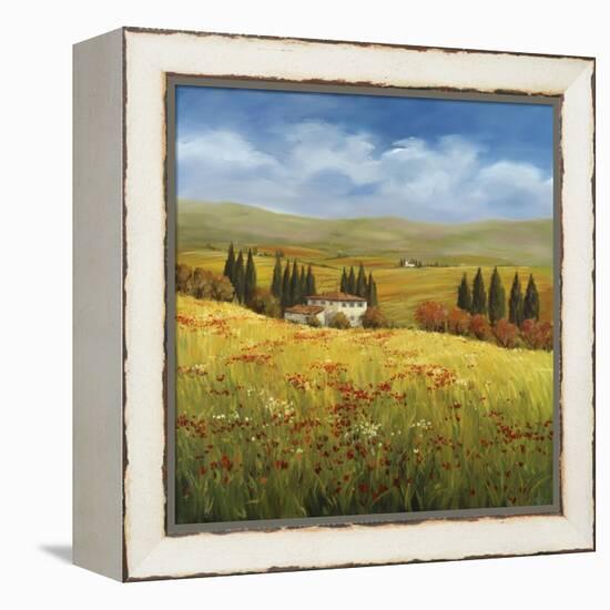 Lo Splendor De La Toscana-Tim Howe-Framed Premier Image Canvas