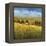 Lo Splendor De La Toscana-Tim Howe-Framed Premier Image Canvas